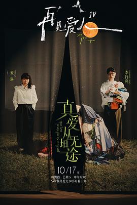再見(jiàn)愛(ài)人第四季(全集)