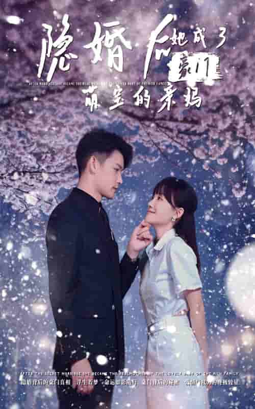 隱婚后，她成了豪門萌寶的親媽(全集)