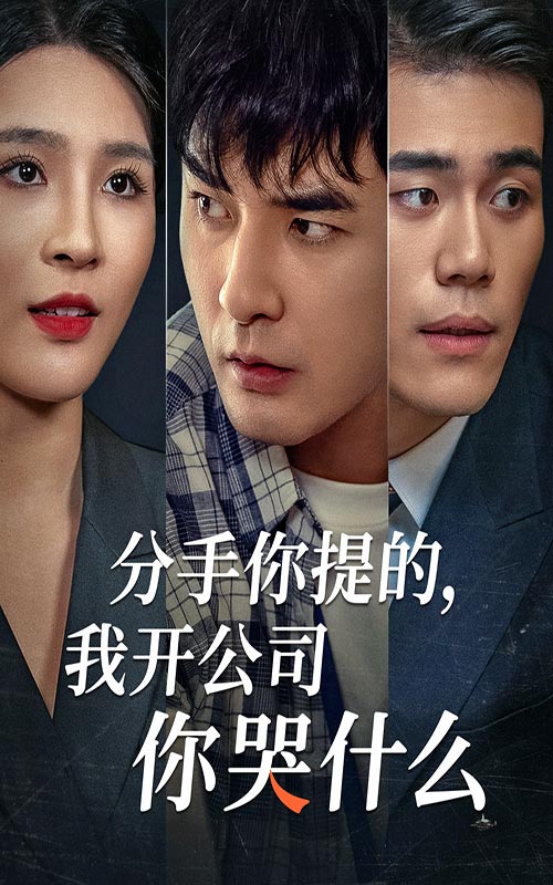 分手你提的，我開公司你哭什么(全集)