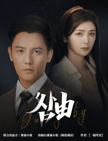 強勢鎖婚，九爺你出局了(全集)