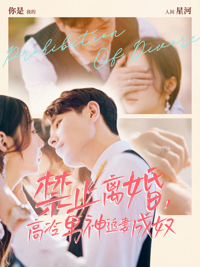 禁止離婚，高冷男神追妻成奴(全集)