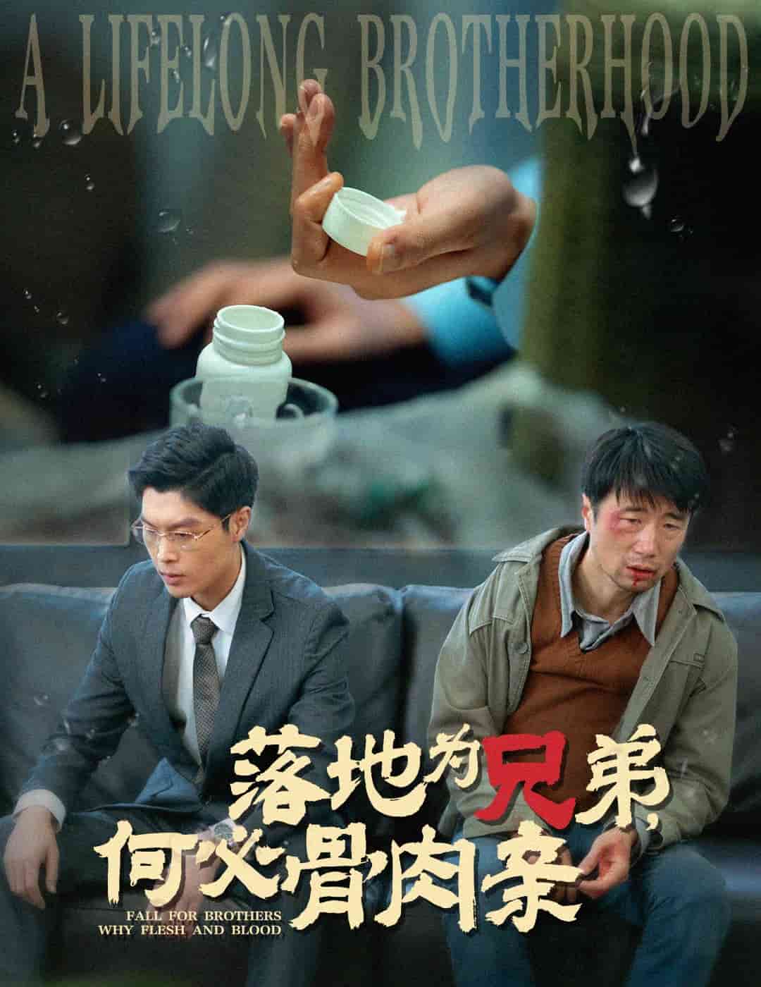 落地為兄弟，何必骨肉親(全集)