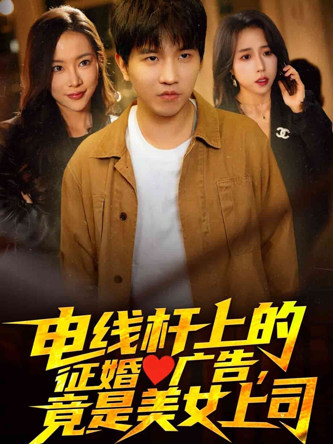 電線桿上的征婚廣告，竟是美女上司(全集)