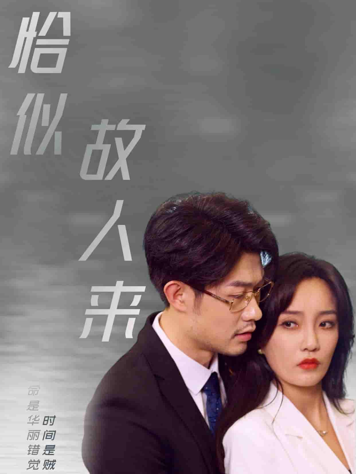 恰似故人來第1集