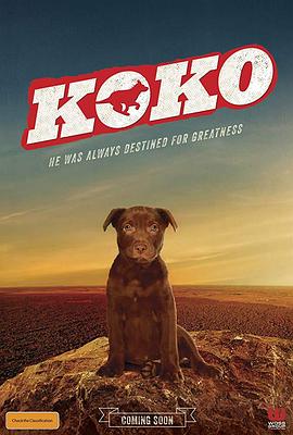 Koko：紅犬歷險(xiǎn)記
