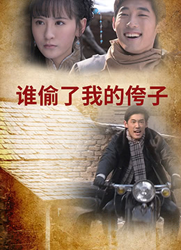 誰(shuí)偷了我的侉子(全集)